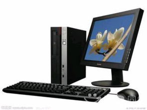 上海杨浦区至西藏个人物品与大件行李物流专线服务详解